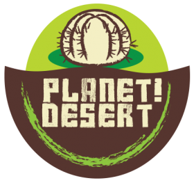 planet desert coupon